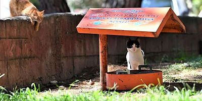 BAŞKAN ESEN'DEN BİR KAP SU ÇAĞRISI