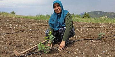 Büyükşehir’den çiftçiye “süper meyve” desteği 