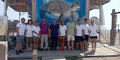 CARETTA CARETTALAR MANAVGAT’TA HAYAT BULUYOR