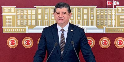 CHP Milletvekili Cavit Arı; denetim yok mu?