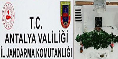 Jandarma uyuşturucu tacirlerine göz açtırmıyor