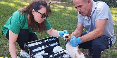 KEPEZ CAN DOSTLARINA GÖZÜ GİBİ BAKIYOR