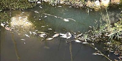 Manavgat’ta çevreyi kirleten otelin müdürüne 4 yıl 2 ay hapis cezası