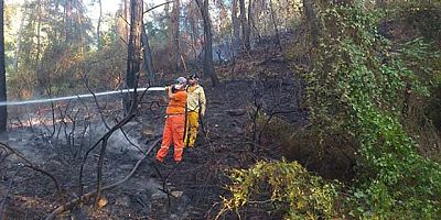 Manavgat’ta orman yangını çıktı.