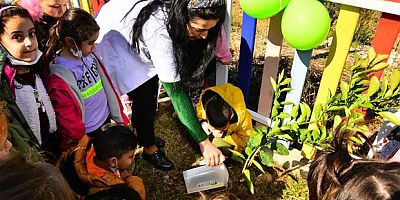 Minik eller fidan dikti