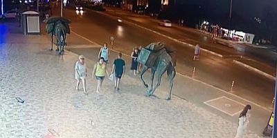 Motosikletin çarptığı Alman turist öldü