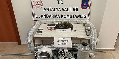 Portatif çadırla tuvalet uyuşturucu laboratuarına dönüştürülmüş
