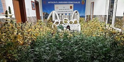 Zehir taciri, uyuşturucu madde imal ettiği laboratuvarında yakalandı